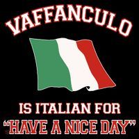 Vaffanculo Is Italian For Have A Nice Day Tank Top thumb 6