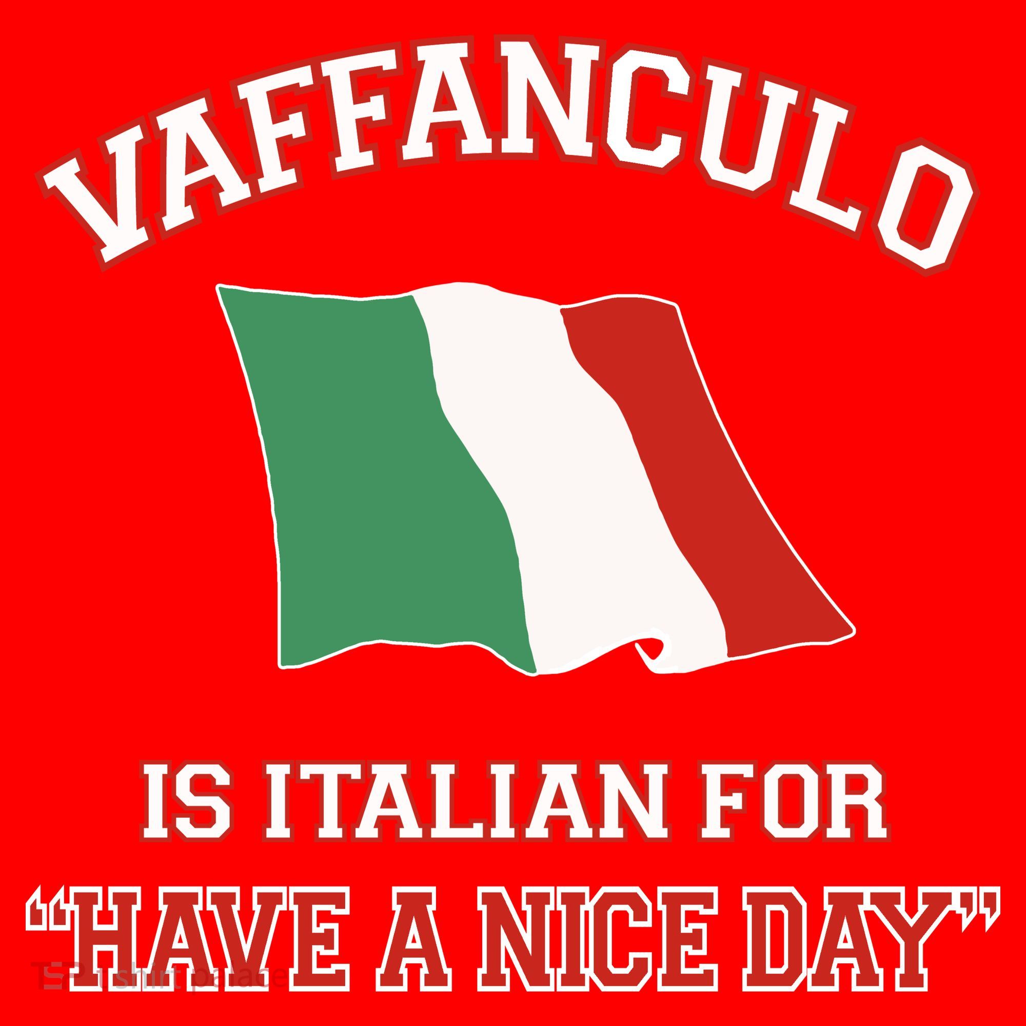 Vaffanculo Is Italian For Have A Nice Day Santa Hat