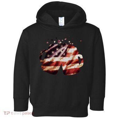 Vintage American Beer Flag Toddler Hoodie