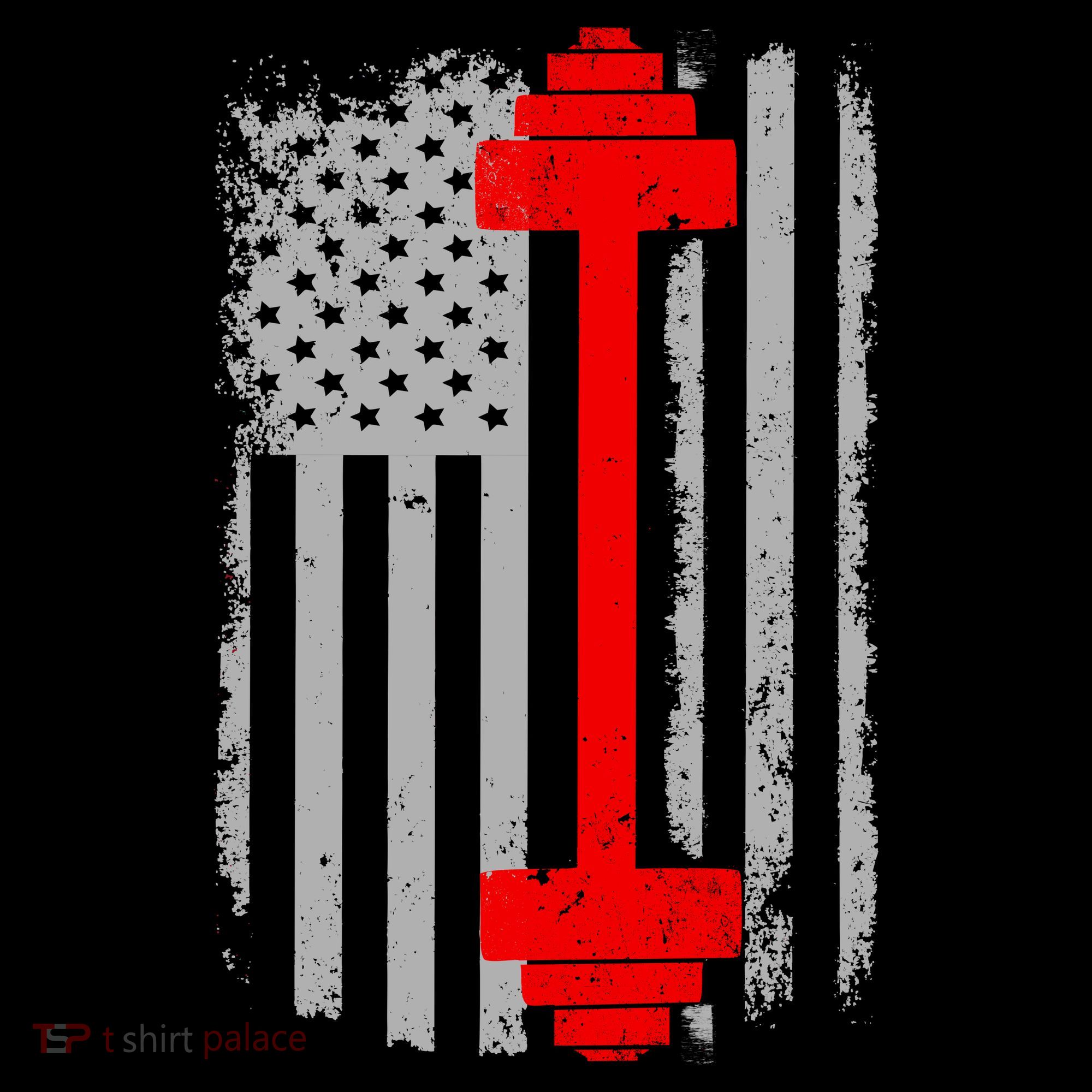 Vintage American Weight Training Flag T-Shirt