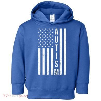 Vintage Autism Flag Toddler Hoodie