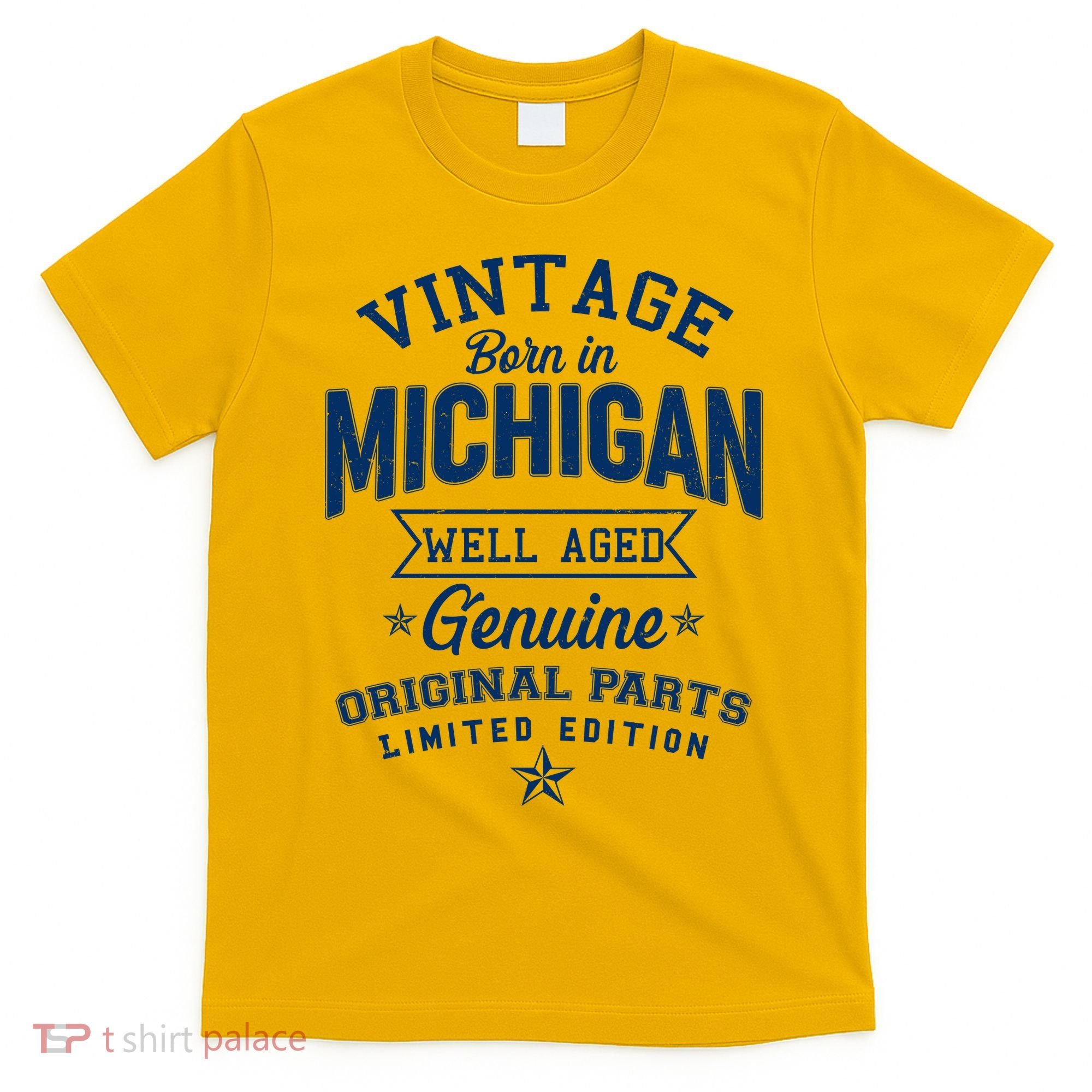 Vintage Born In Michigan Well Aged T-Shirt