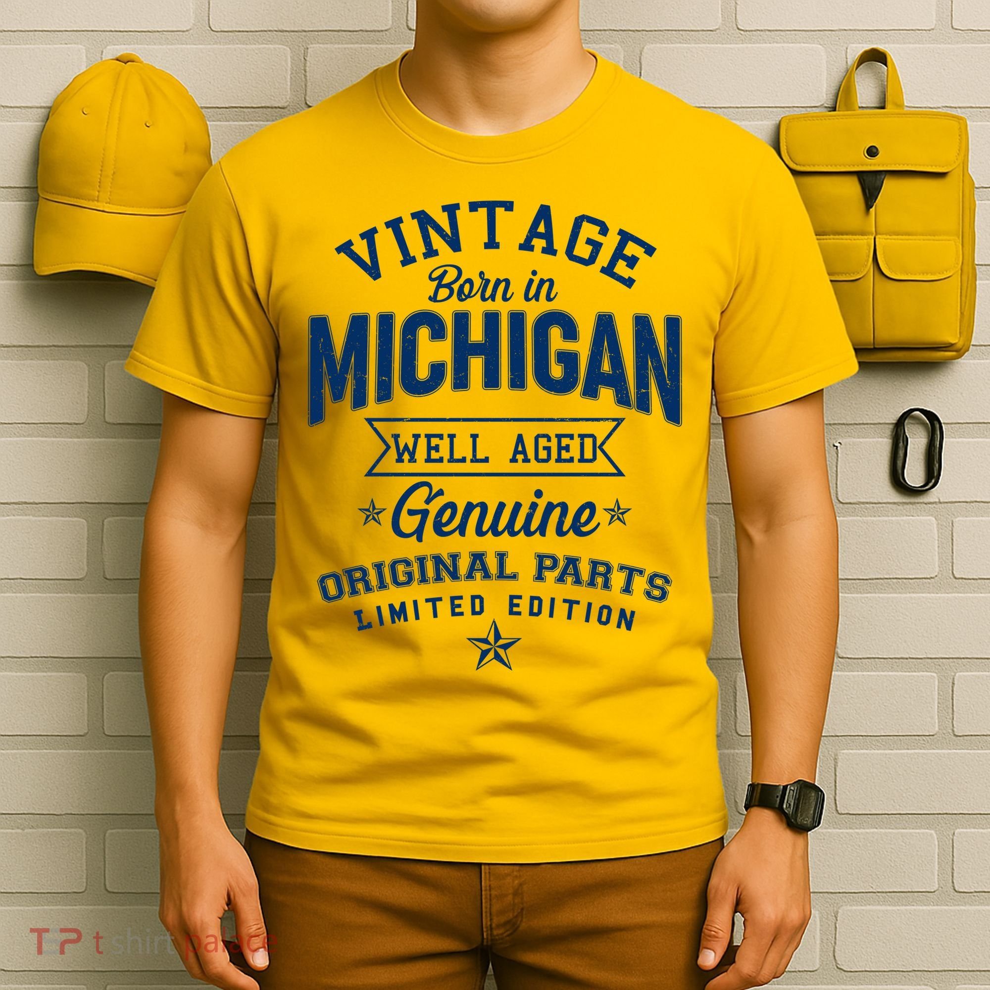 Vintage Born In Michigan Well Aged T-Shirt