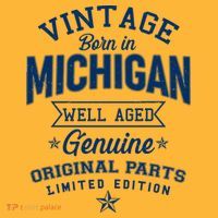 Vintage Born In Michigan Well Aged T-Shirt thumb 7
