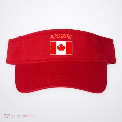 Visor