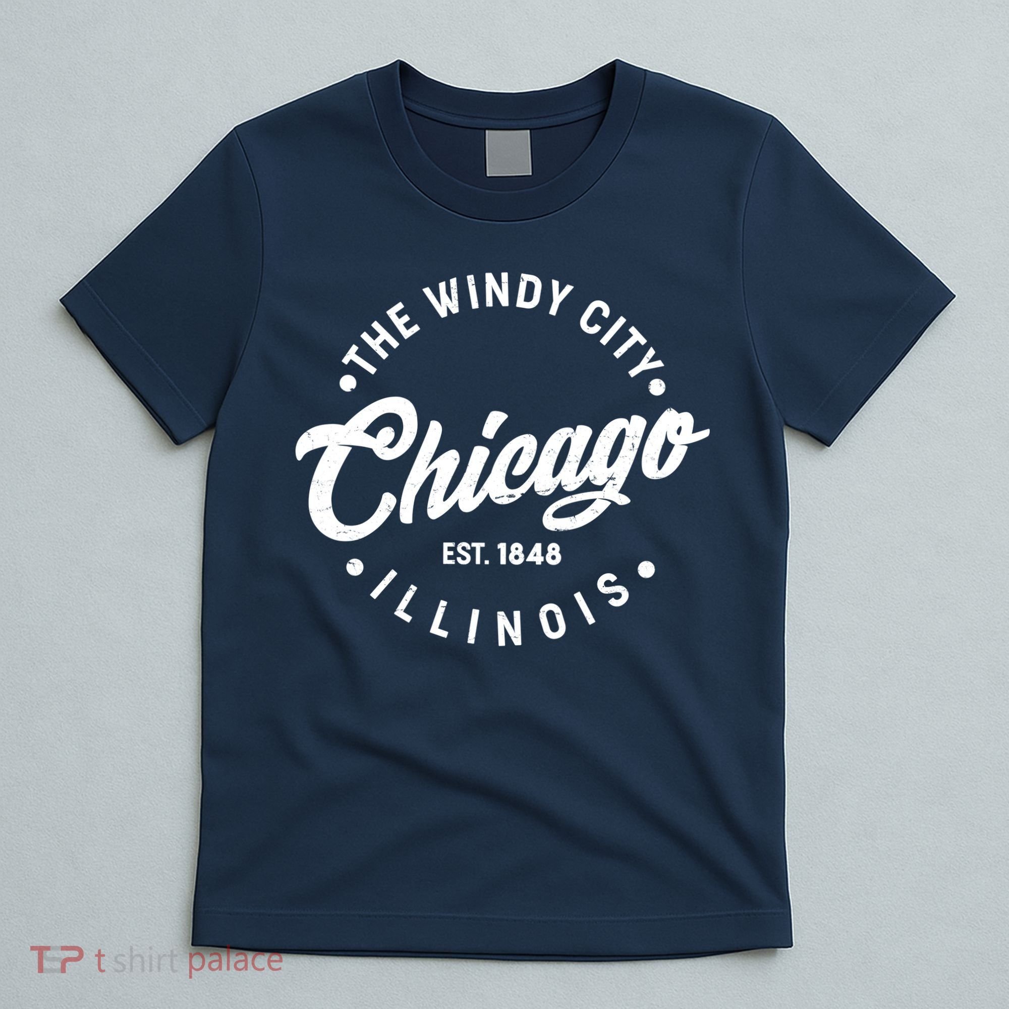 Vintage Chicago The Windy City Illinois EST 1848 T-Shirt