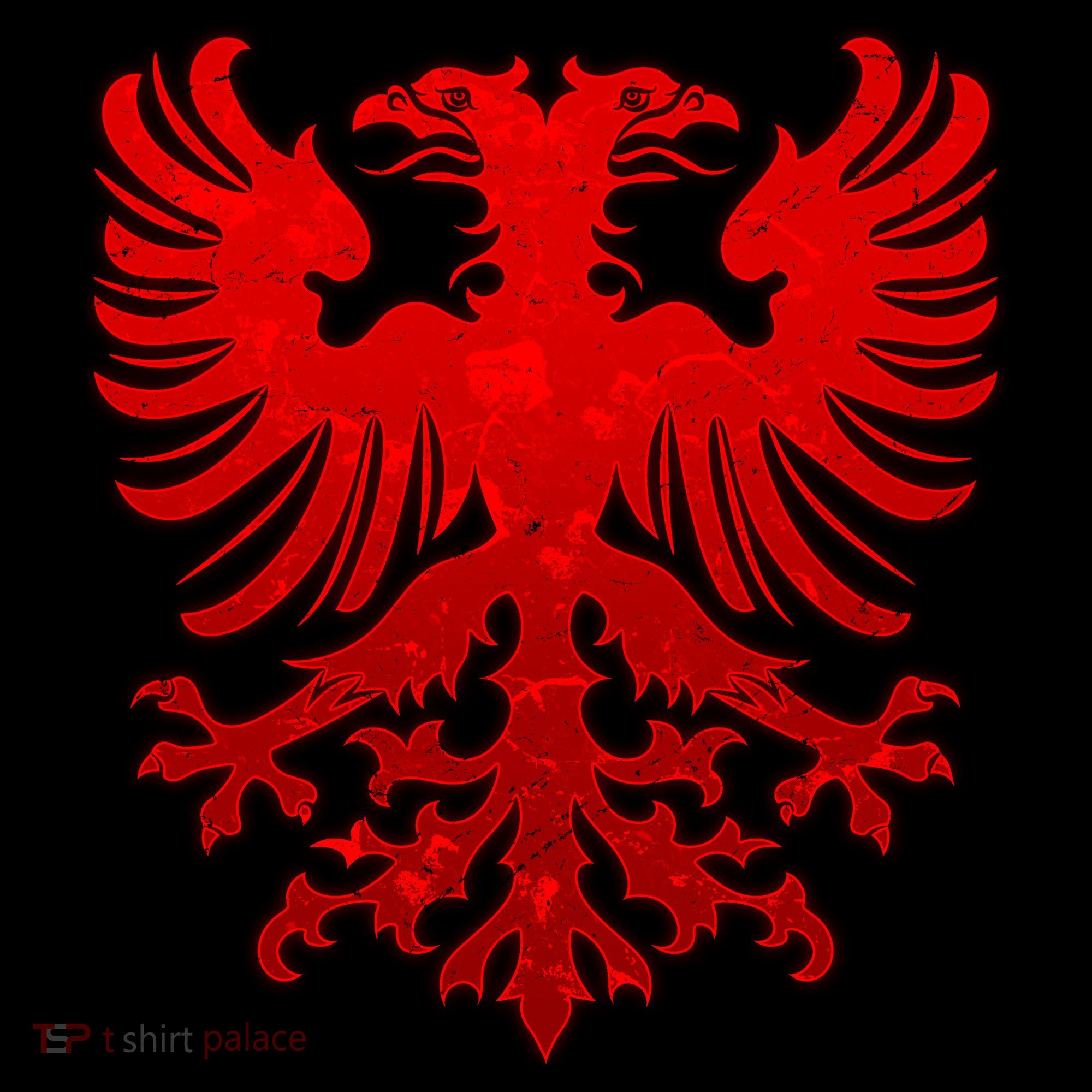 Vintage Eagle Albanian Flag T-Shirt