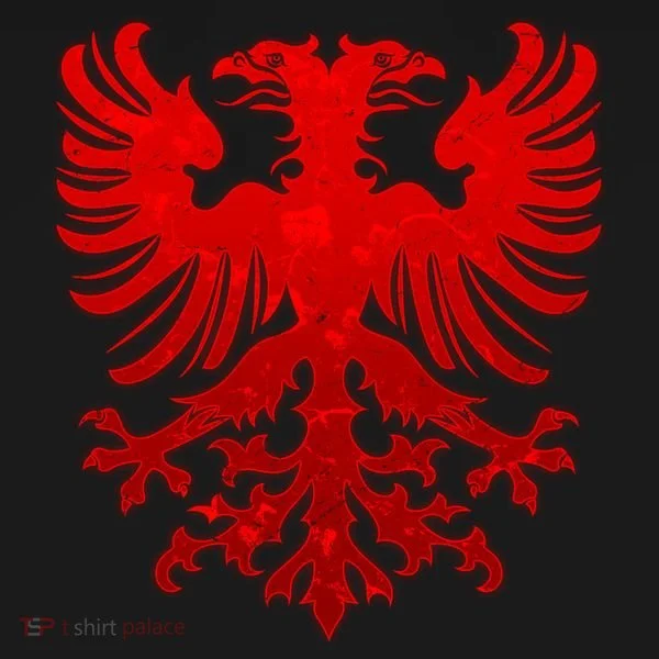 Vintage Eagle Albanian Flag Kids Hoodie