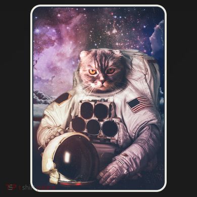 Vintage Galaxy Space Astronaut Cat Dry Zone Grid Polo