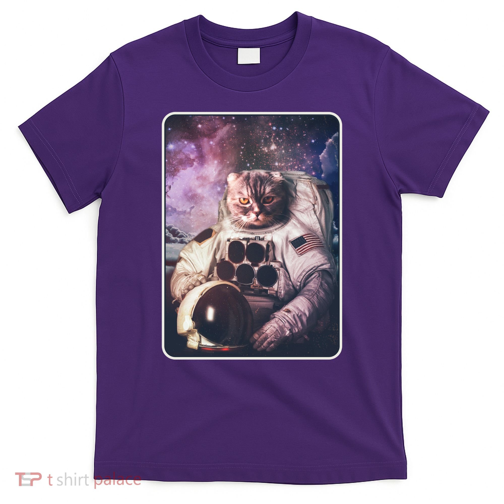 Vintage Galaxy Space Astronaut Cat T-Shirt