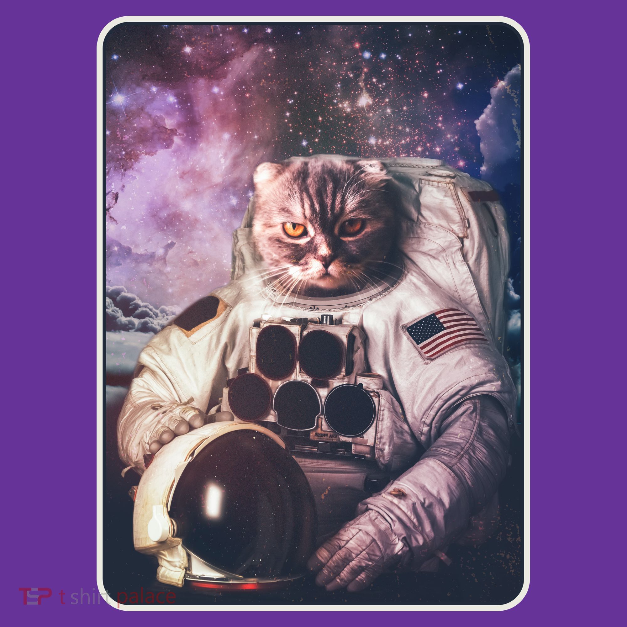 Vintage Galaxy Space Astronaut Cat T-Shirt