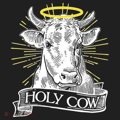 Vintage Holy Cow 40oz Vacuum Insulated Stainless Steel Travel Tumbler