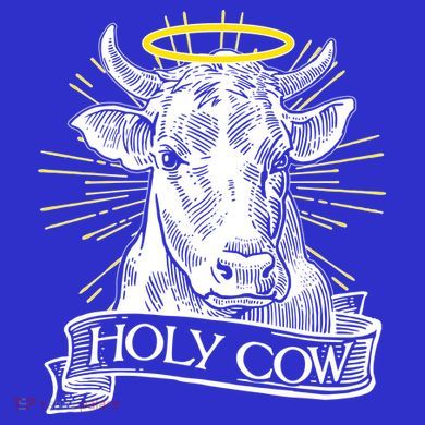 Vintage Holy Cow Button