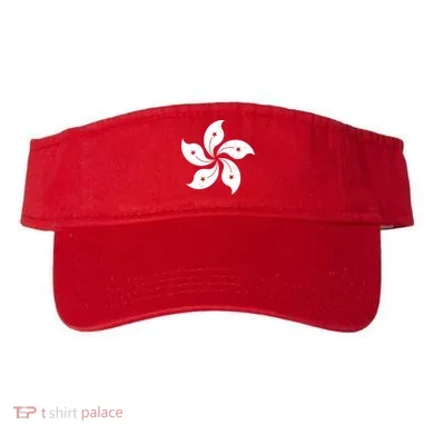 Visor