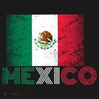 Vintage Mexico Distress Logo Flag T-Shirt thumb 7