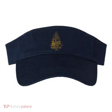 Visor