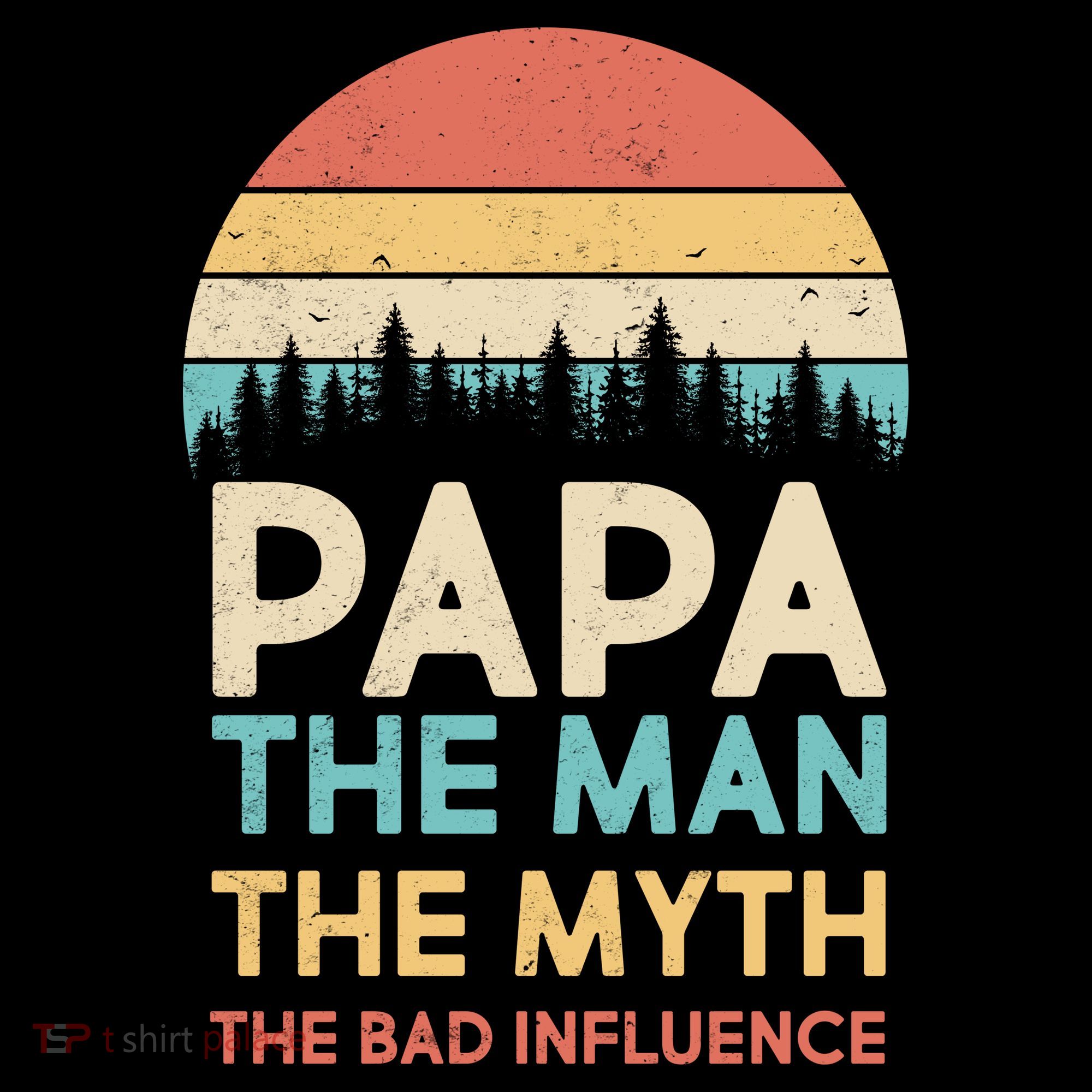 Vintage Papa Man Myth The Bad Influence T-Shirt