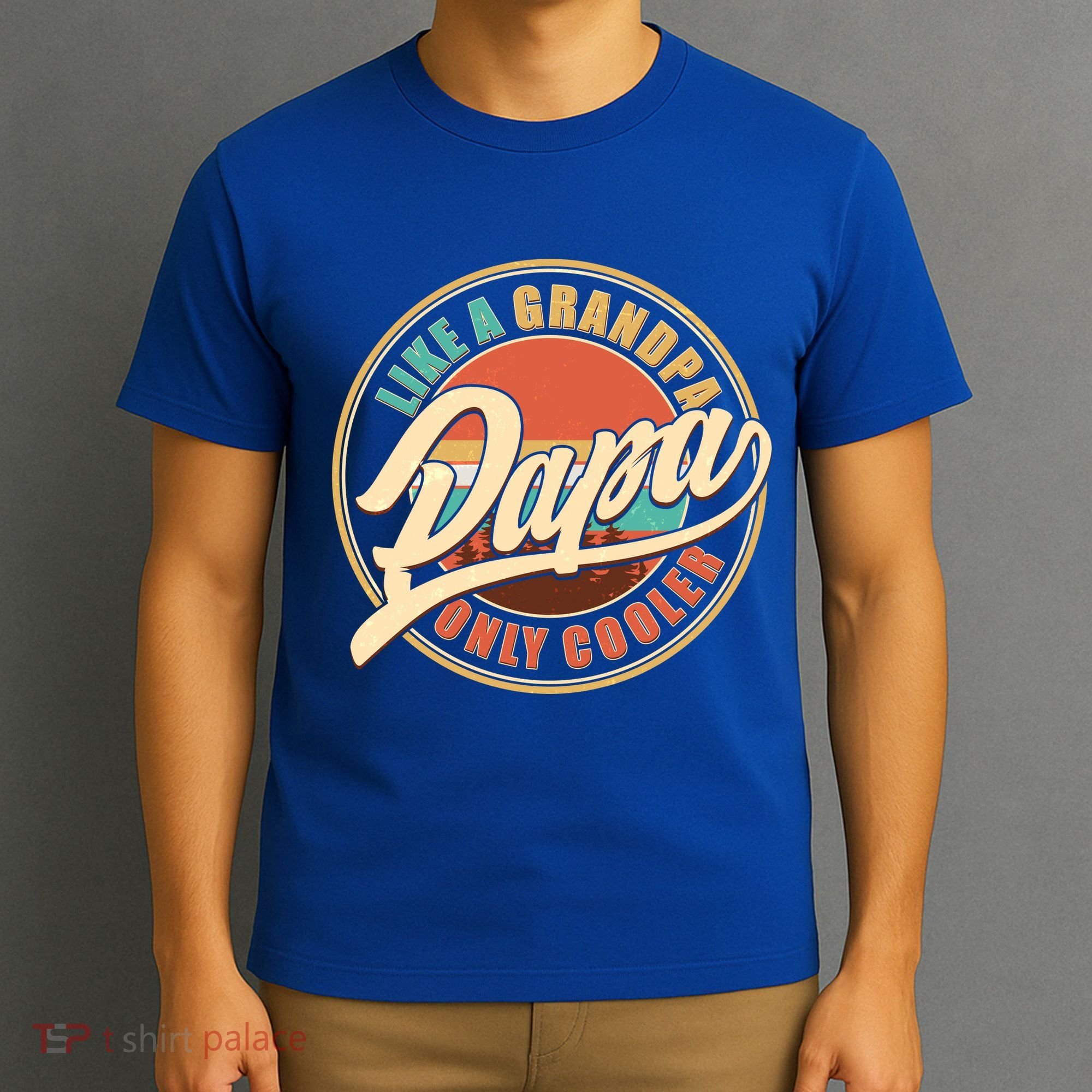 Vintage Retro Papa Like A Grandpa Only Cooler T-Shirt
