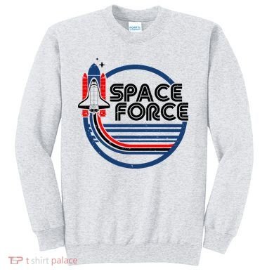Vintage Space Force Emblem Sweatshirt