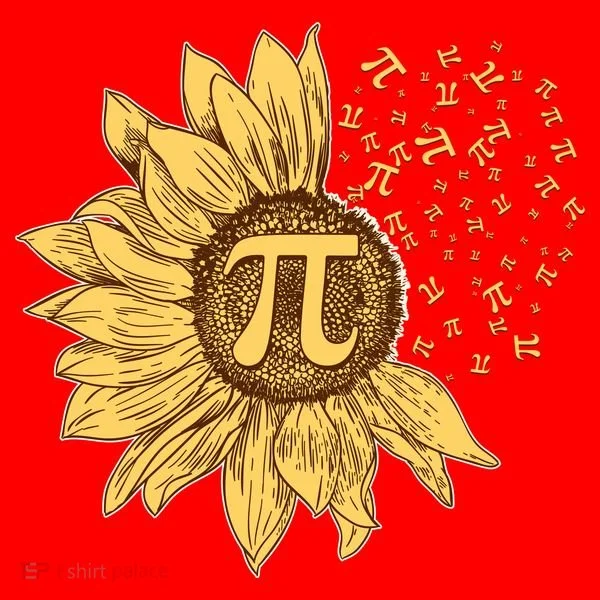 Vintage Sunflower Pi 3.14 Santa Hat