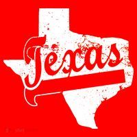 Vintage Texas State Logo T-Shirt thumb 7