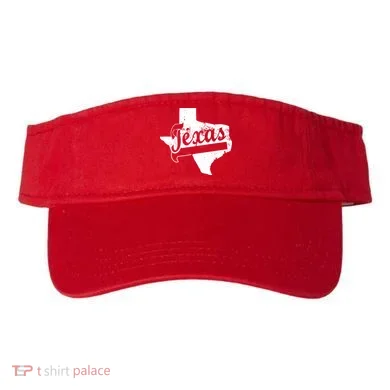 Visor