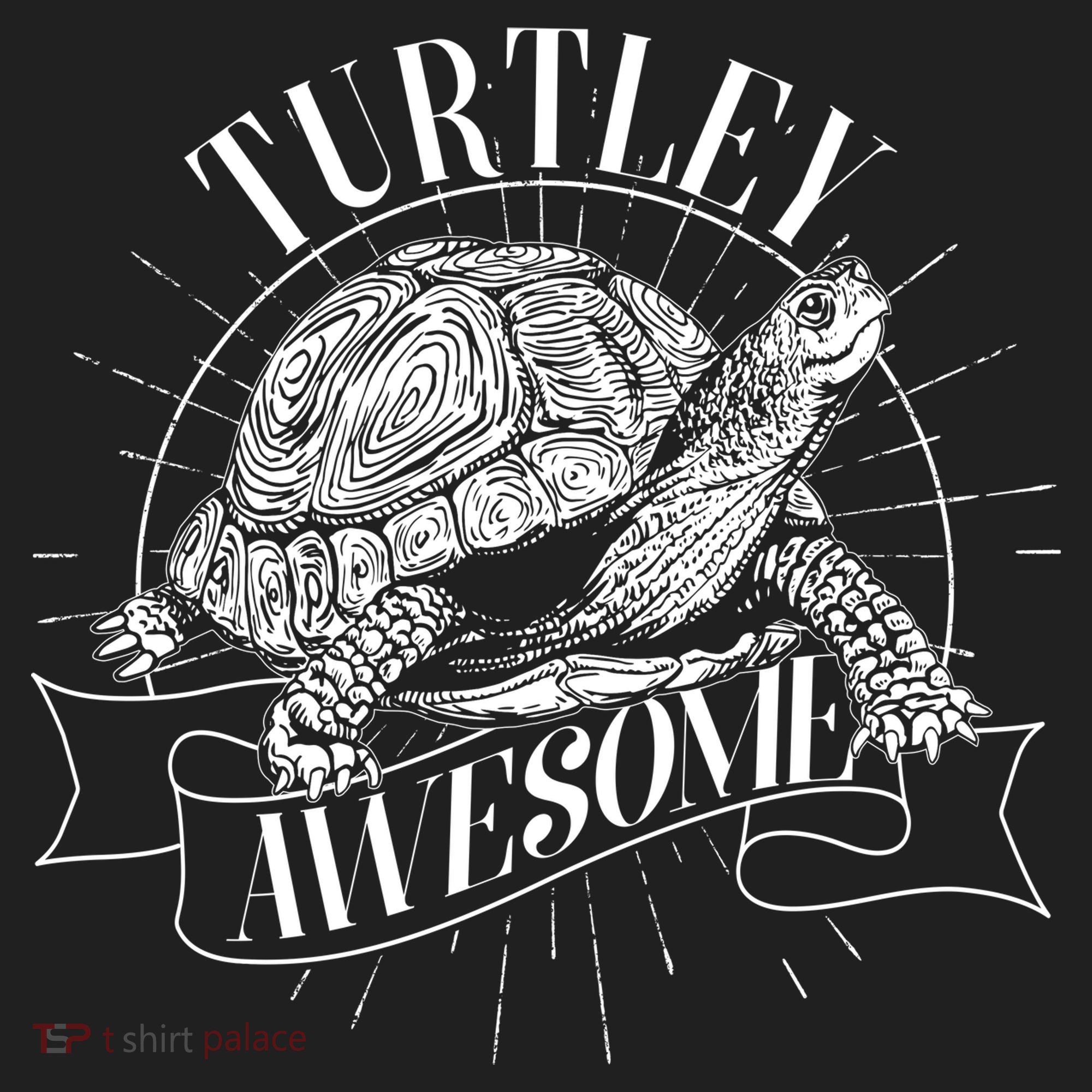 Vintage Turtley Awesome Hat