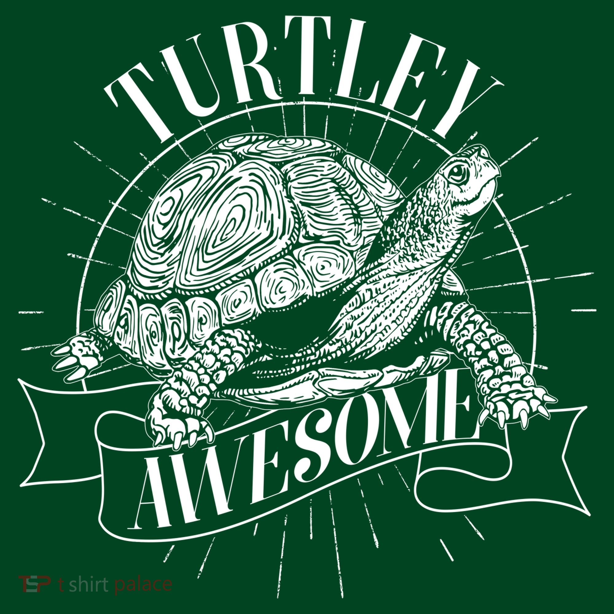 Vintage Turtley Awesome Visor