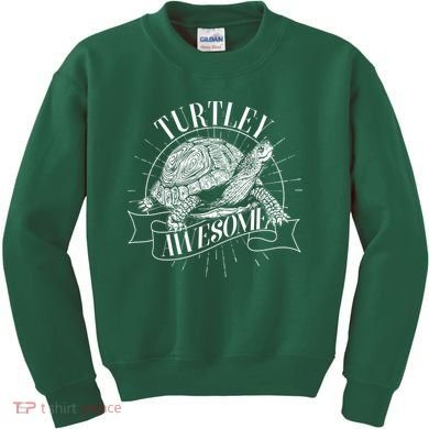 Vintage Turtley Awesome Kids Sweatshirt