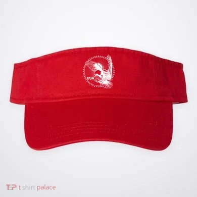 Visor