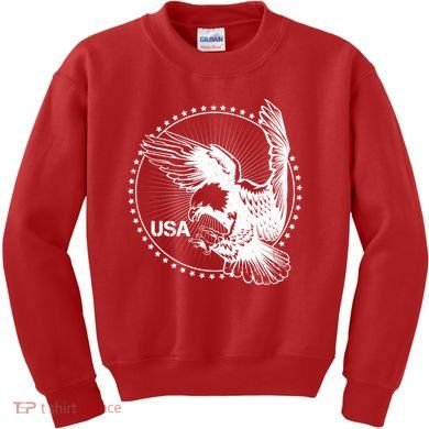 Vintage USA Star Eagle Kids Sweatshirt