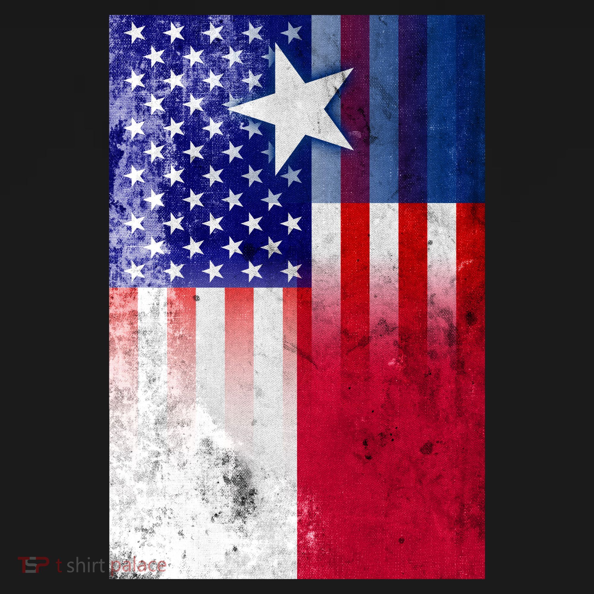 Vintage USA Texas American Flag T-Shirt