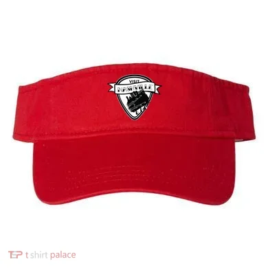 Visor