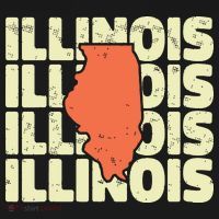 Vintage Illinois Usa State T-Shirt thumb 7