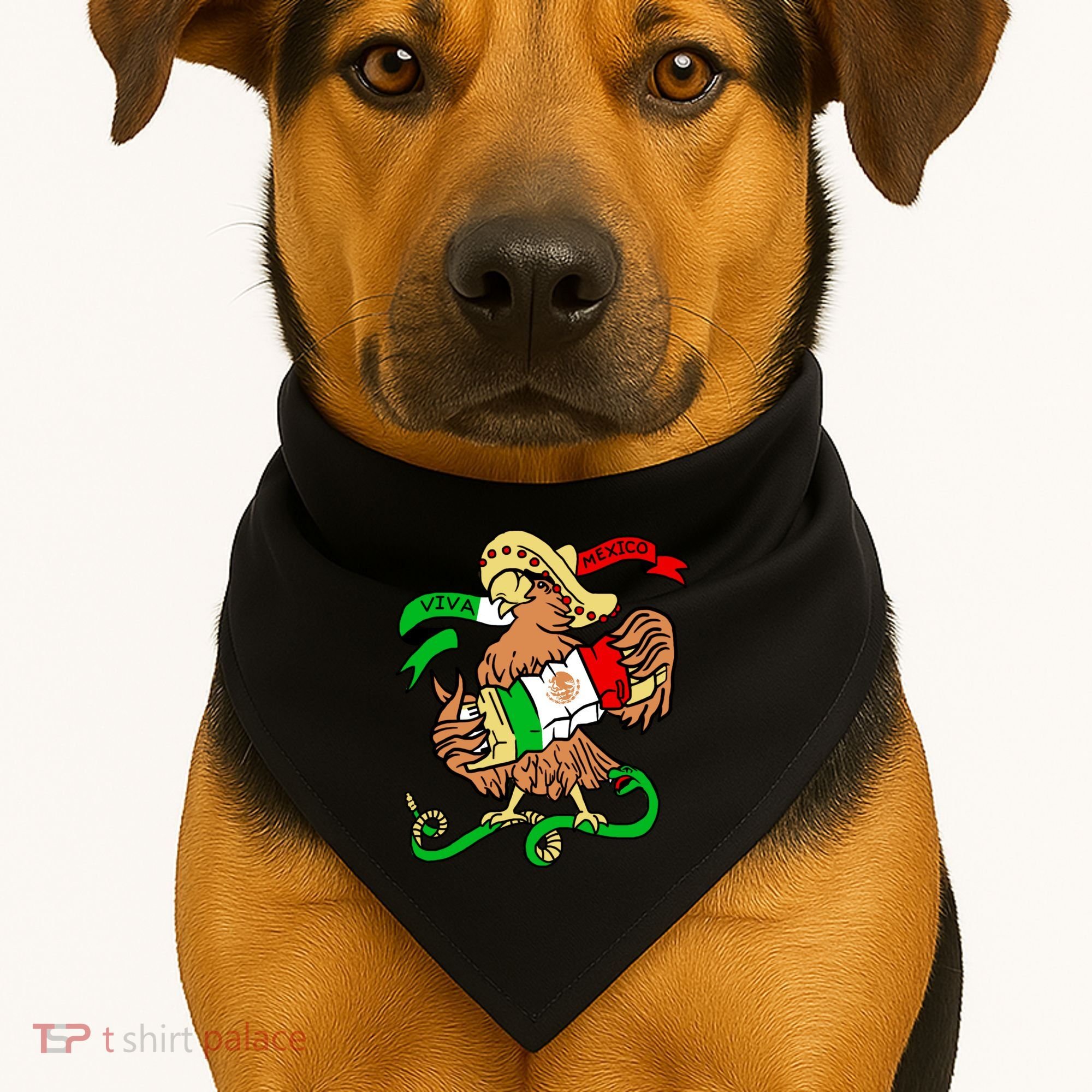 Viva Mexico USA-Made Doggie Bandana