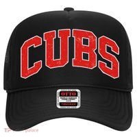 Varsity Logo Cubs Baseball Sports Fan Hat thumb 0