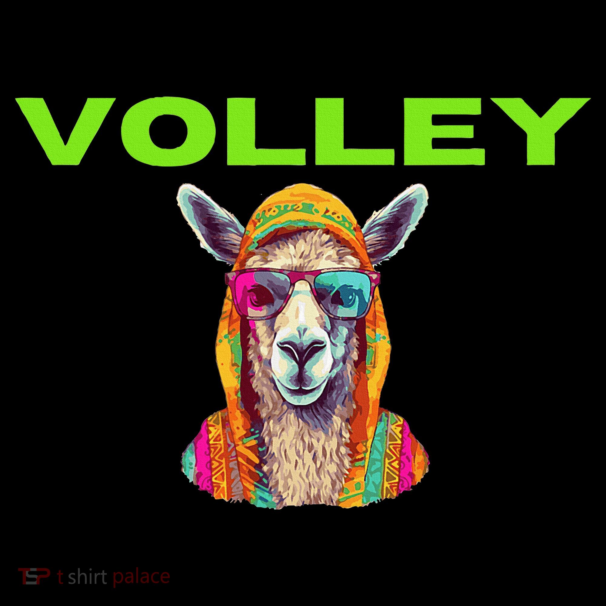 Volley Llama Funny Pickleball Women's Tank Top