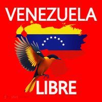 Venezuela Libre Flag Pride Bandera Venezolana Root Santa Hat thumb 1