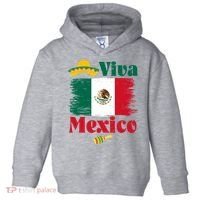 Viva Mexico Flag Mexican Independence Day Toddler Hoodie thumb 0