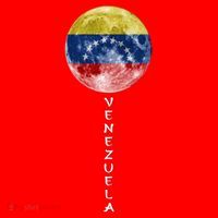Venezuela Moon Flag Pride Venezuelan Flag Roots Souvenir Gift Santa Hat thumb 1