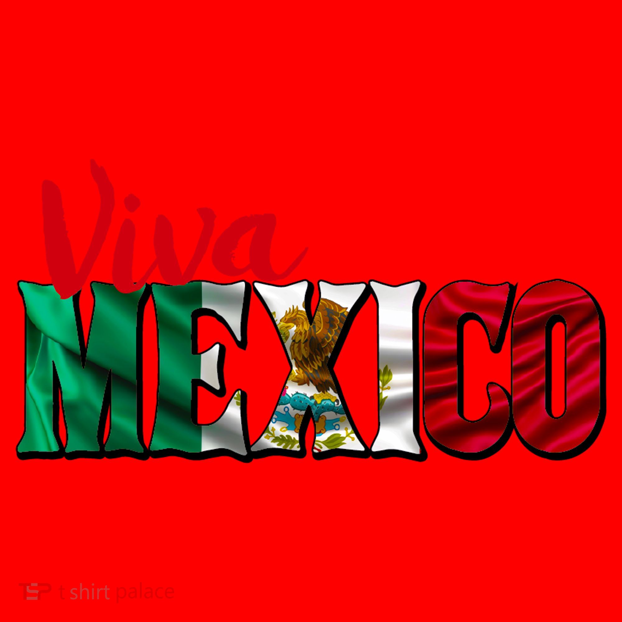 Viva Mexico Independence Day Santa Hat