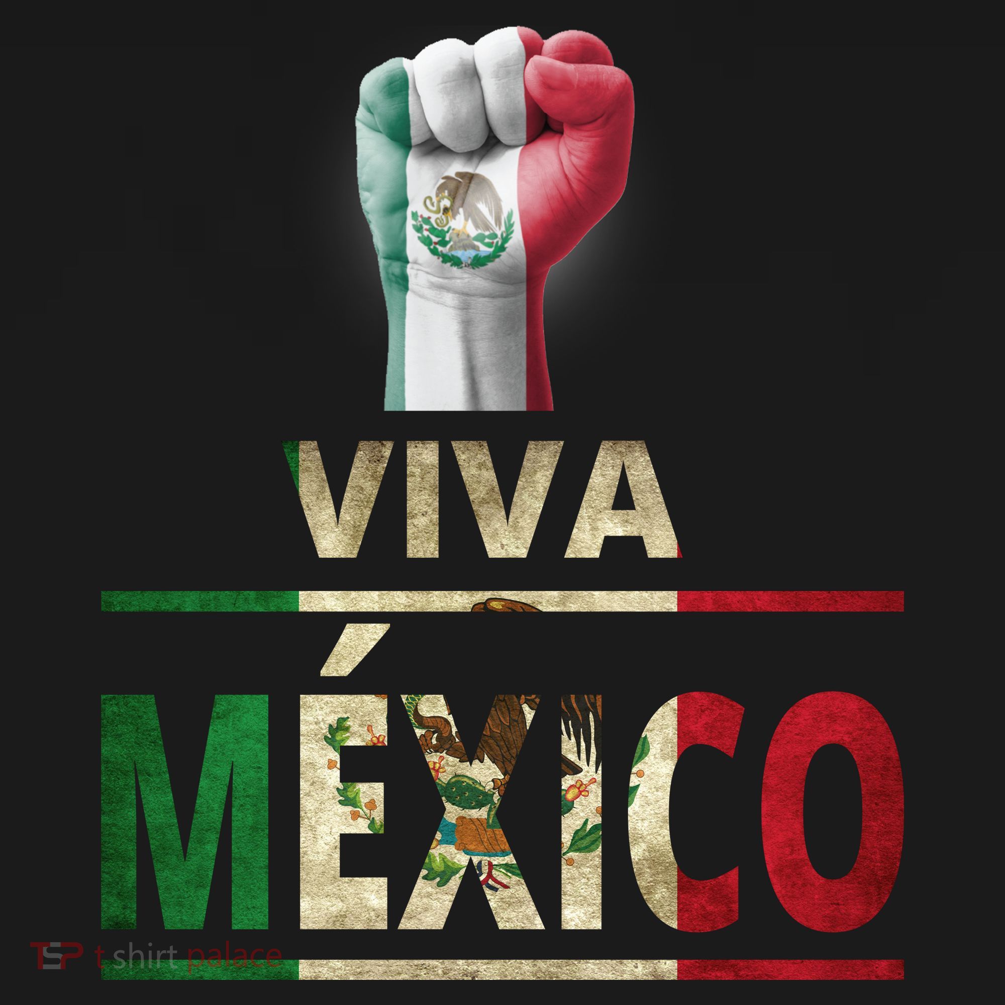 Viva Mexico Mexican Pride Fist Long Sleeve Shirt