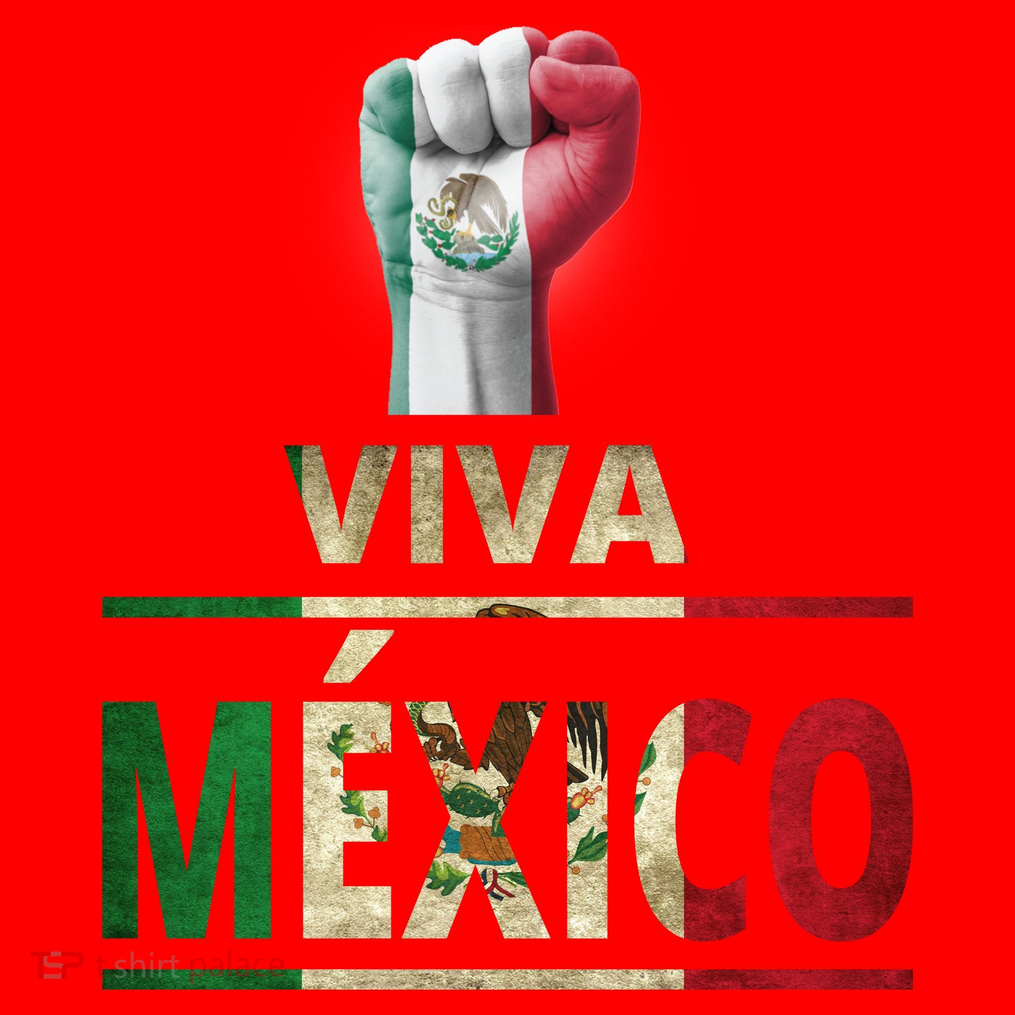 Viva Mexico Mexican Pride Fist Santa Hat