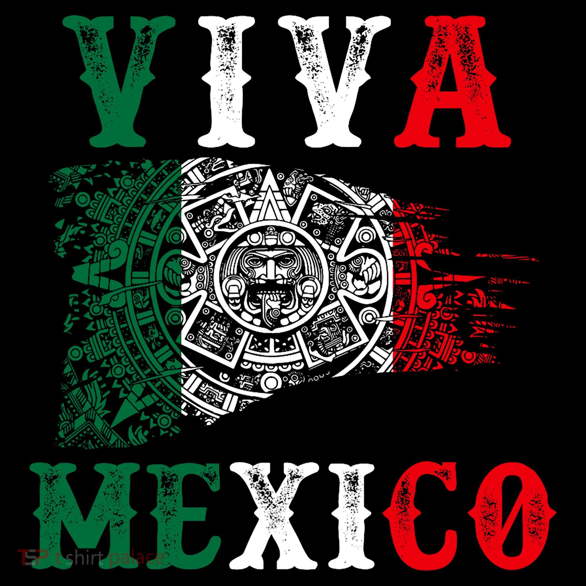 Viva Mexico Mexican Independence Day Apron