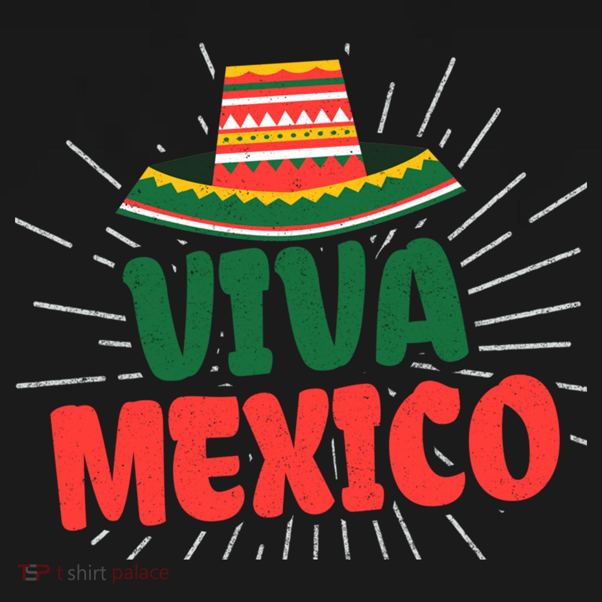Viva Mexico Mexican Independence Day Gift Apron