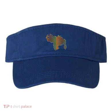 Visor