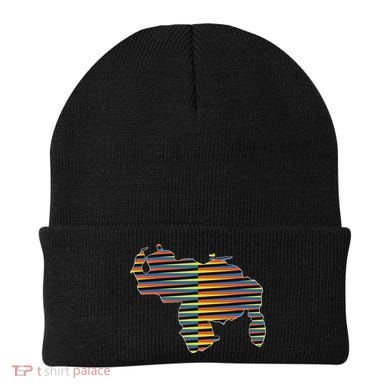 Venezuelan Map Mapa De Venezuela Multicolor Chromatic Beanie