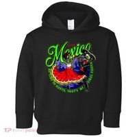 Viva Mexico No Time To Siesta That Is My Final Fiesta Toddler Hoodie thumb 0