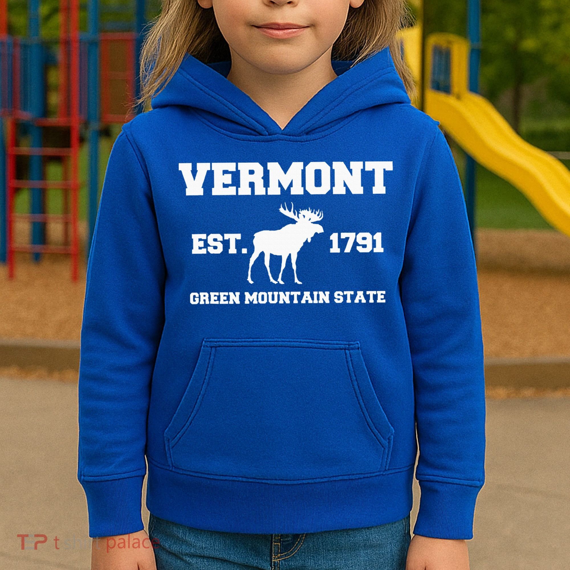 Vermont Moose Souvenir Est 1791 Green Mountain Kids Hoodie