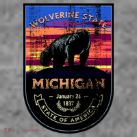 Vintage Michigan The Wolverine State T-Shirt thumb 7